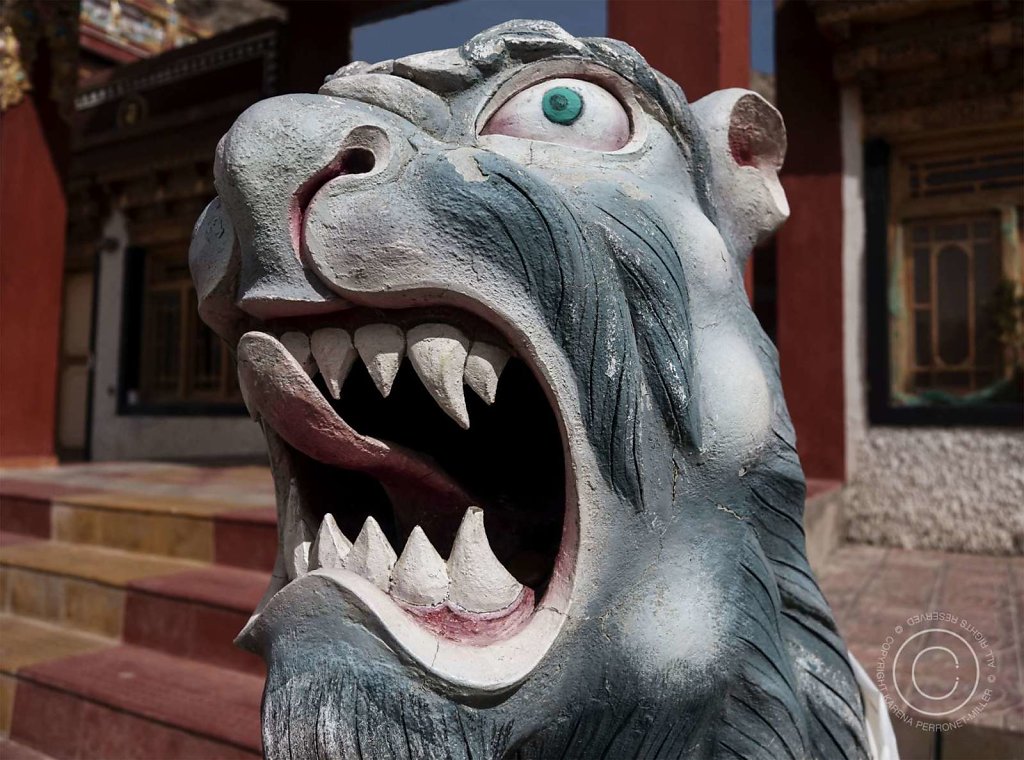 1581434779phpAO5d2Q.jpg
