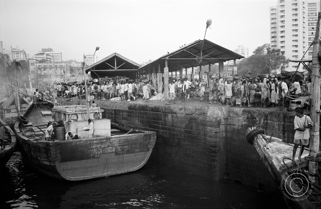 docks39.jpg
