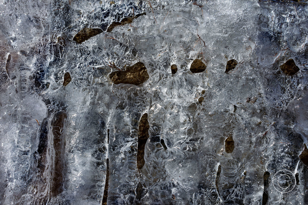 DSC2329-V2.jpg