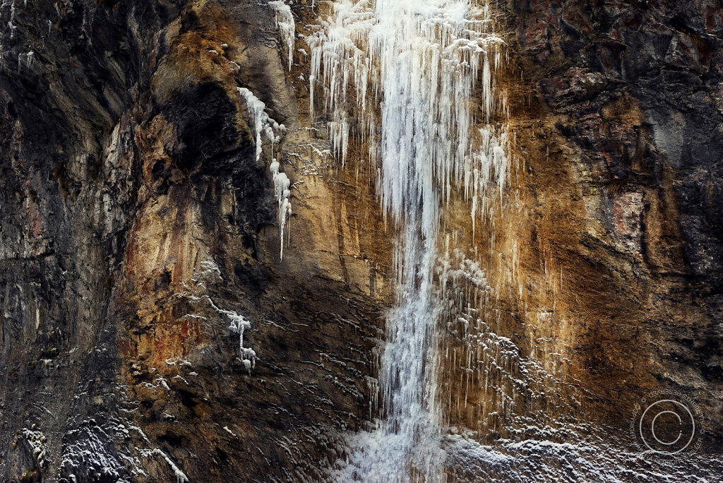 DSC2499.jpg