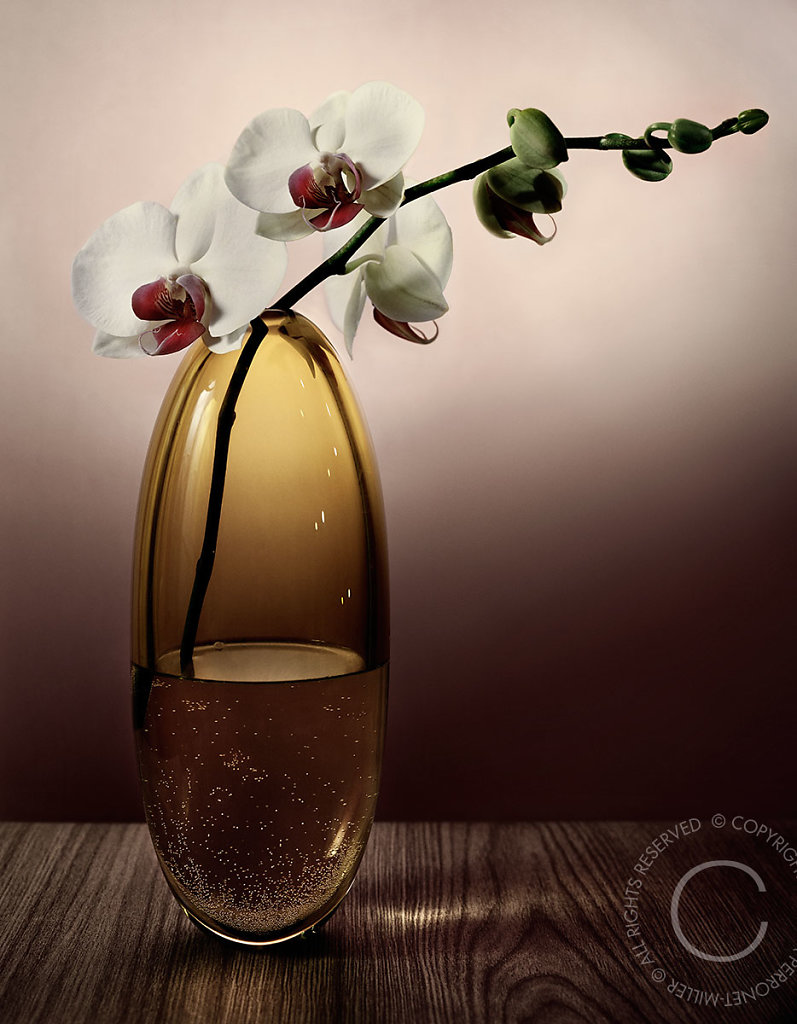 Pantene-005.jpg