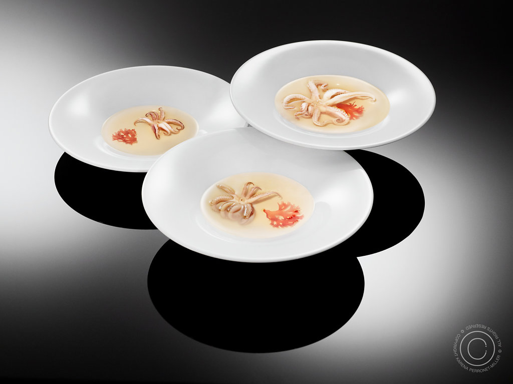 ALESSI-OCTOv2.jpg