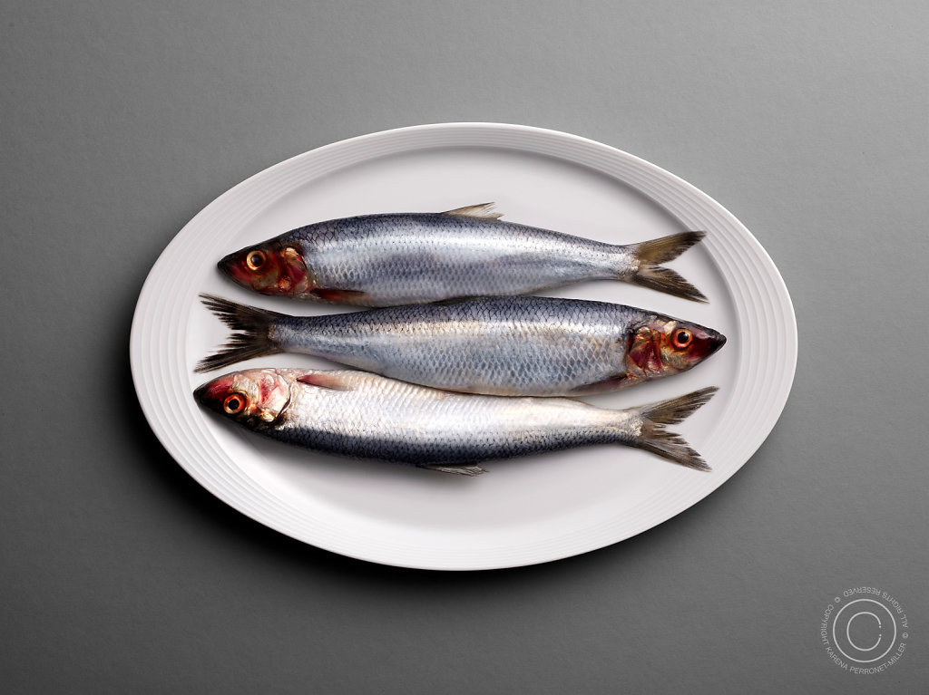 Fish-Oval-Platter.jpg