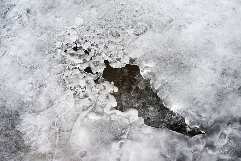 DSC1247-V2-Cold.jpg