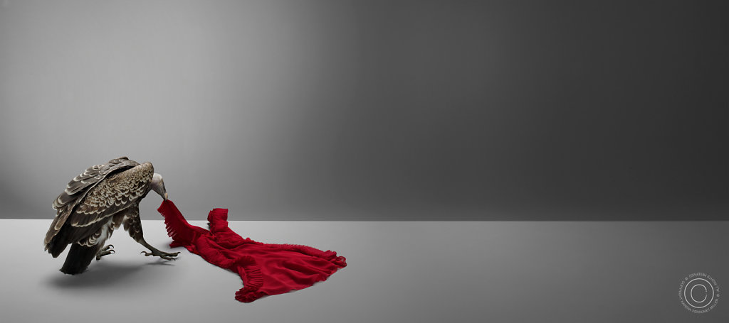 Dress-D007016-HR.jpg