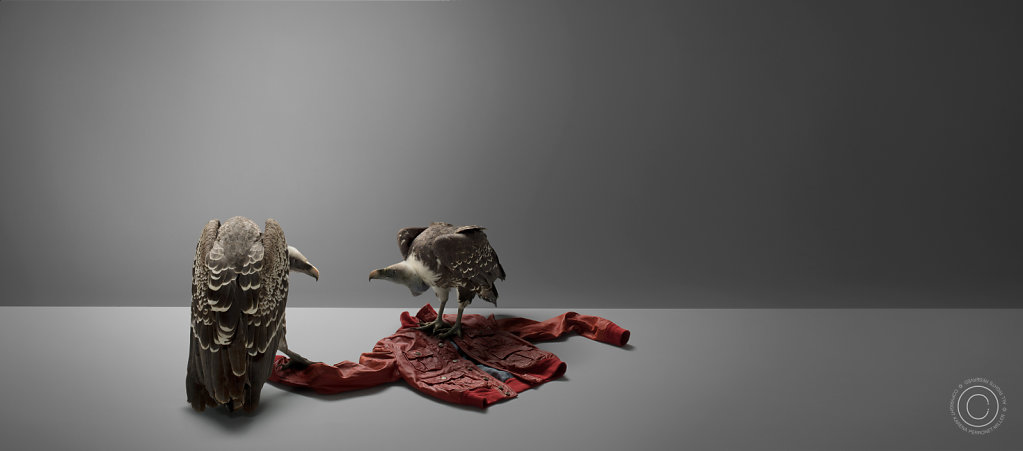 Jacket-D007016-HR.jpg