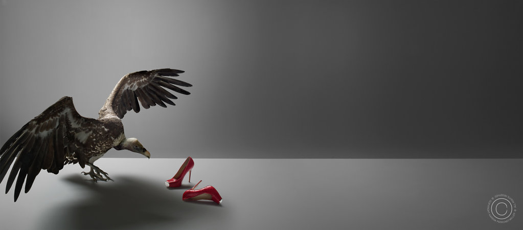 Shoes-D007016-HR.jpg