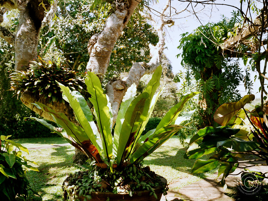 C788525-12.jpg