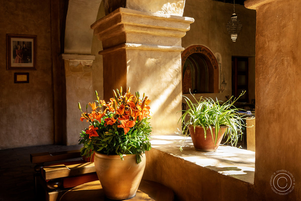 DSC0179-V3.jpg