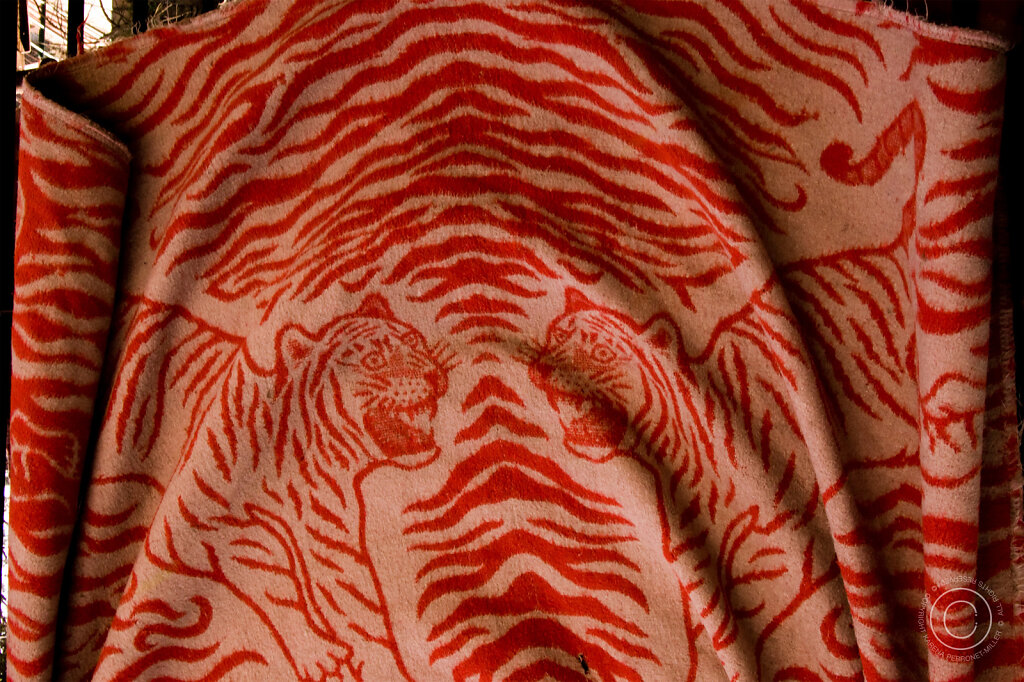 L1010269.jpg
