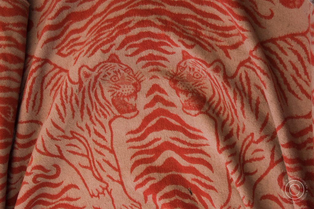 L1010270.jpg