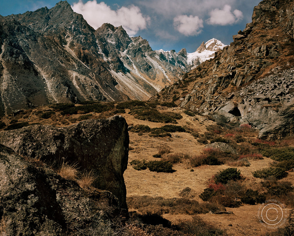 KPM-Kanga-R019F12.jpg