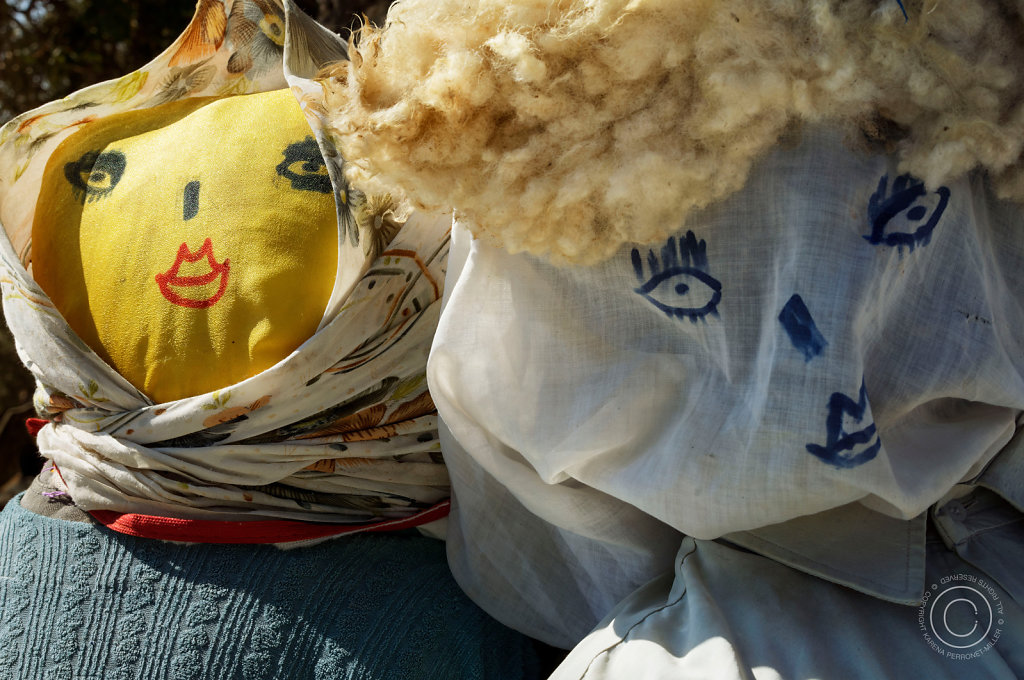 DSC2013-V4.jpg